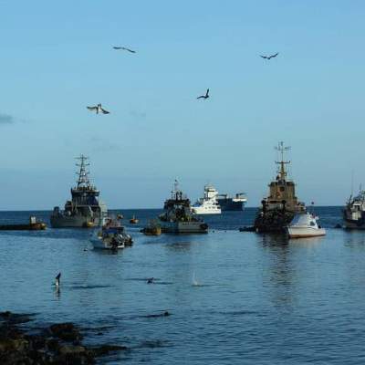 Chinese Fishing Boats near Galapagos Turn Off Tracking Systems