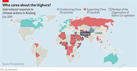 Uyghur Camps