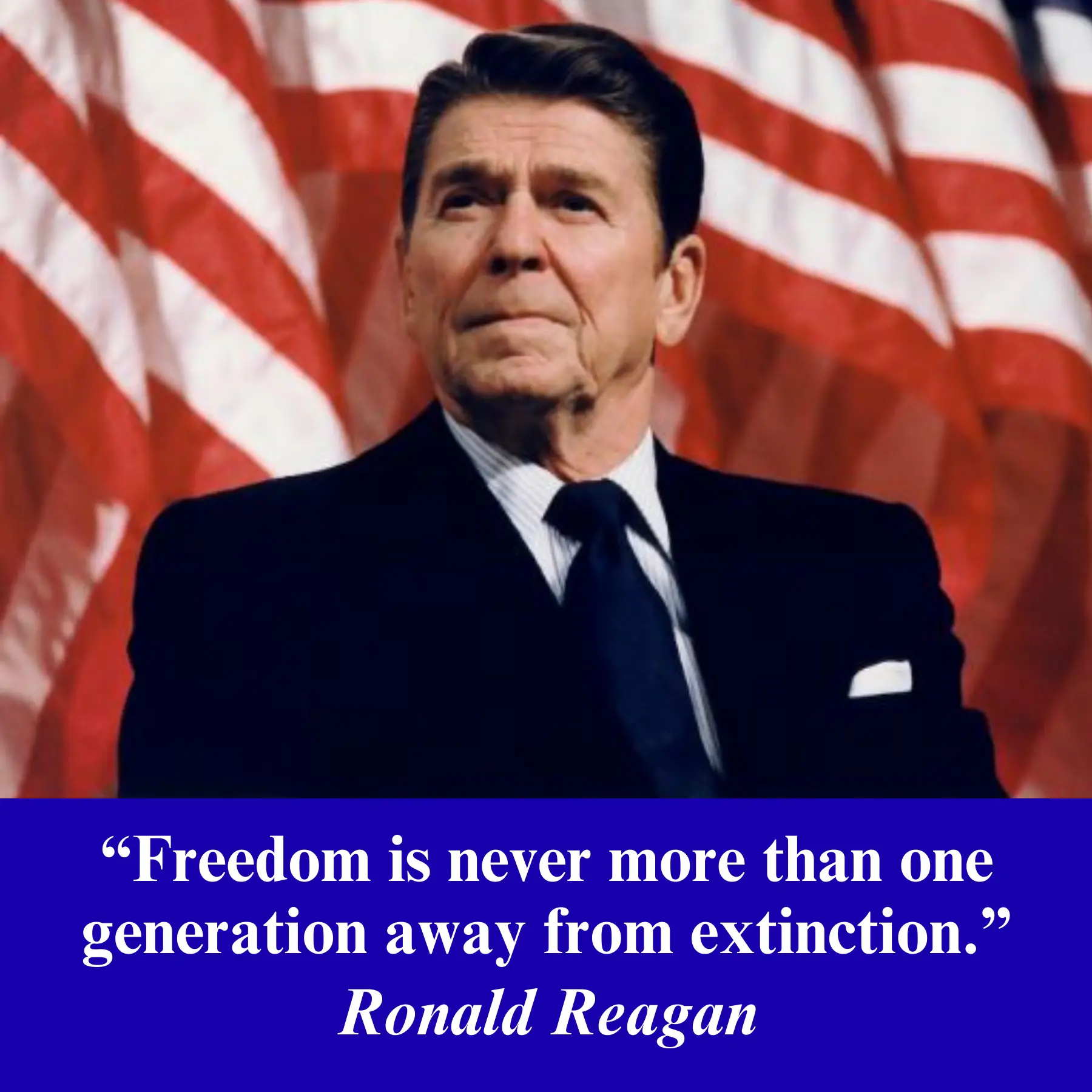 freedom art for AD article